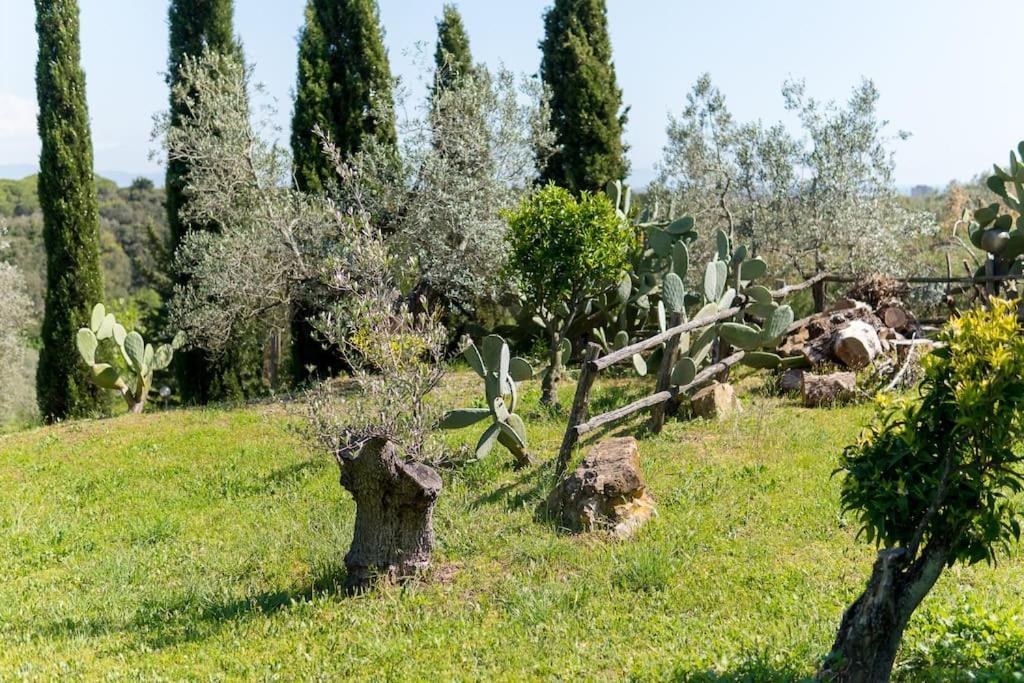 Agriturismo De Santis Castiglioncello Extérieur photo