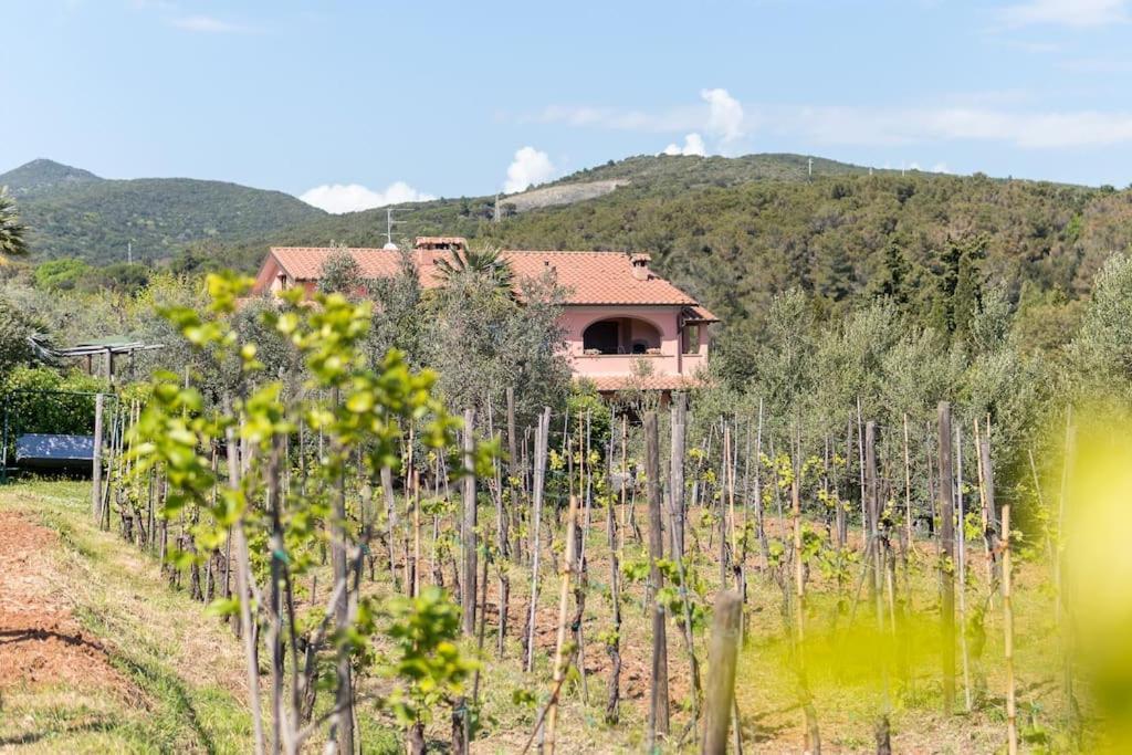 Agriturismo De Santis Castiglioncello Extérieur photo