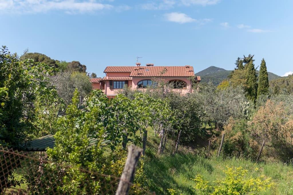 Agriturismo De Santis Castiglioncello Extérieur photo
